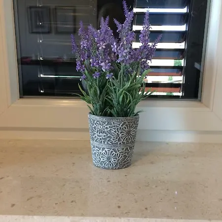 桑属阿尔巴公寓