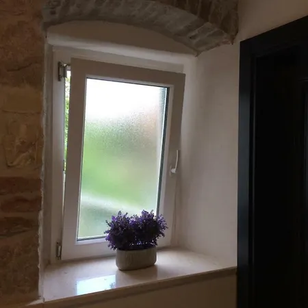 Morus Alba Apartmán