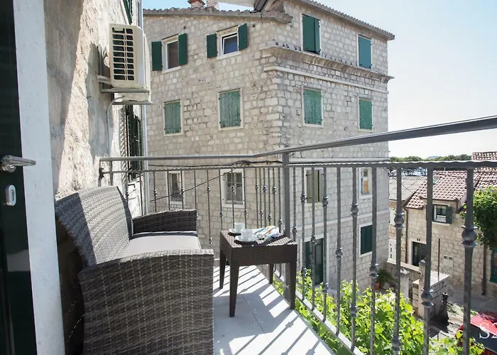 Morus Alba * 스플리트