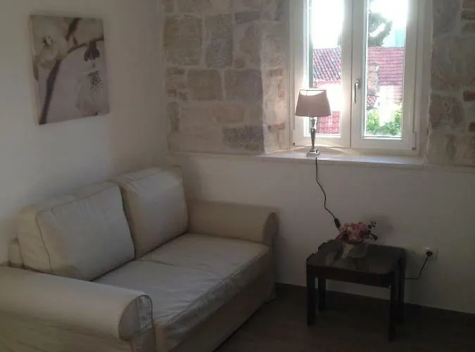 Morus Alba * 스플리트