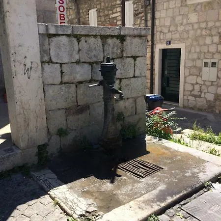 Morus Alba * ספליט